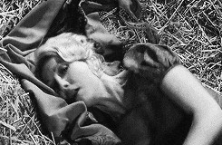 young frankenstein teri garr