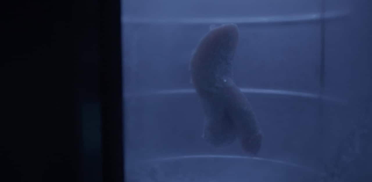 The Good Fight season 4 episode 7