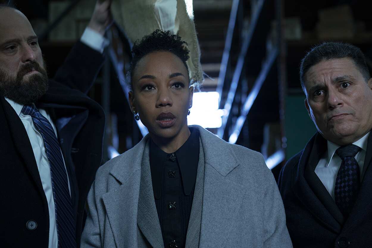 Charmaine Bingwa in The Good Fight S6