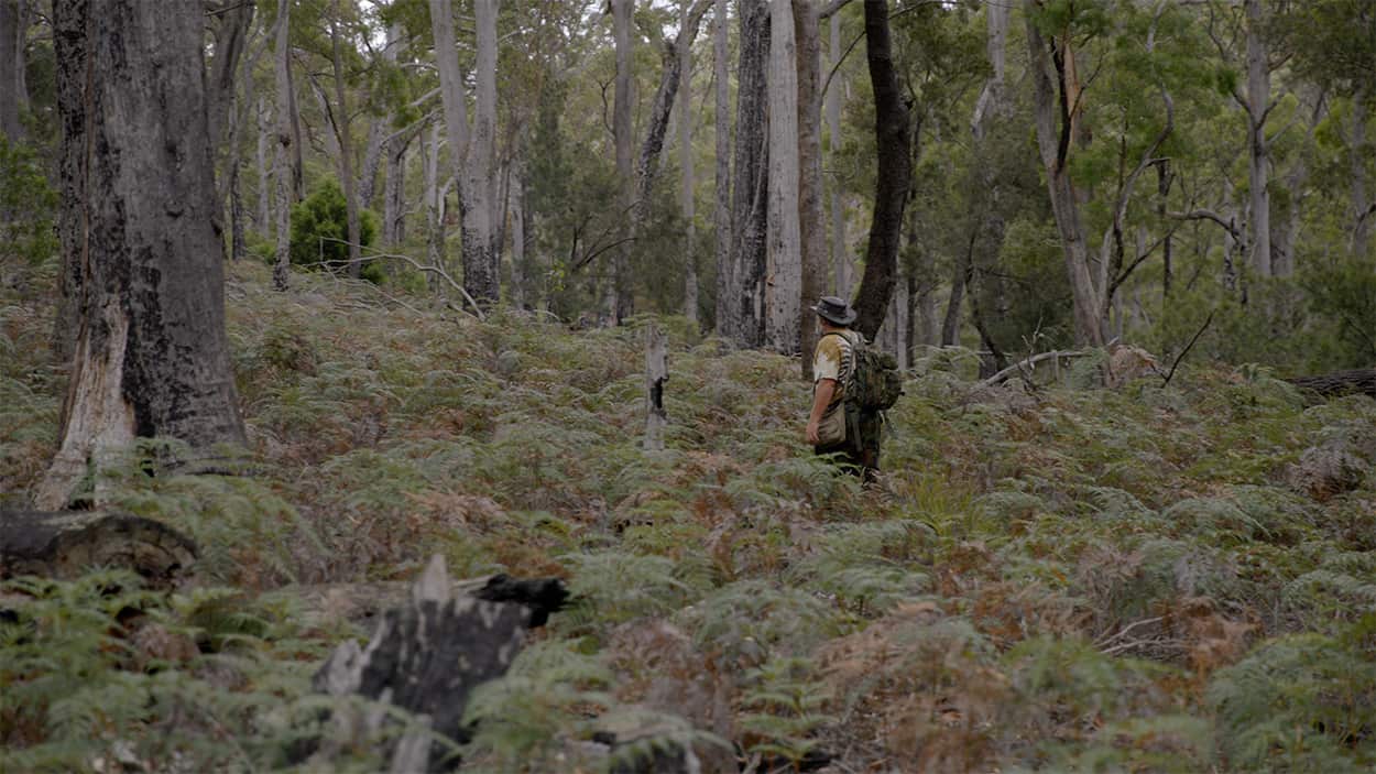 Searching for the Tassie Tiger, Neil Waters