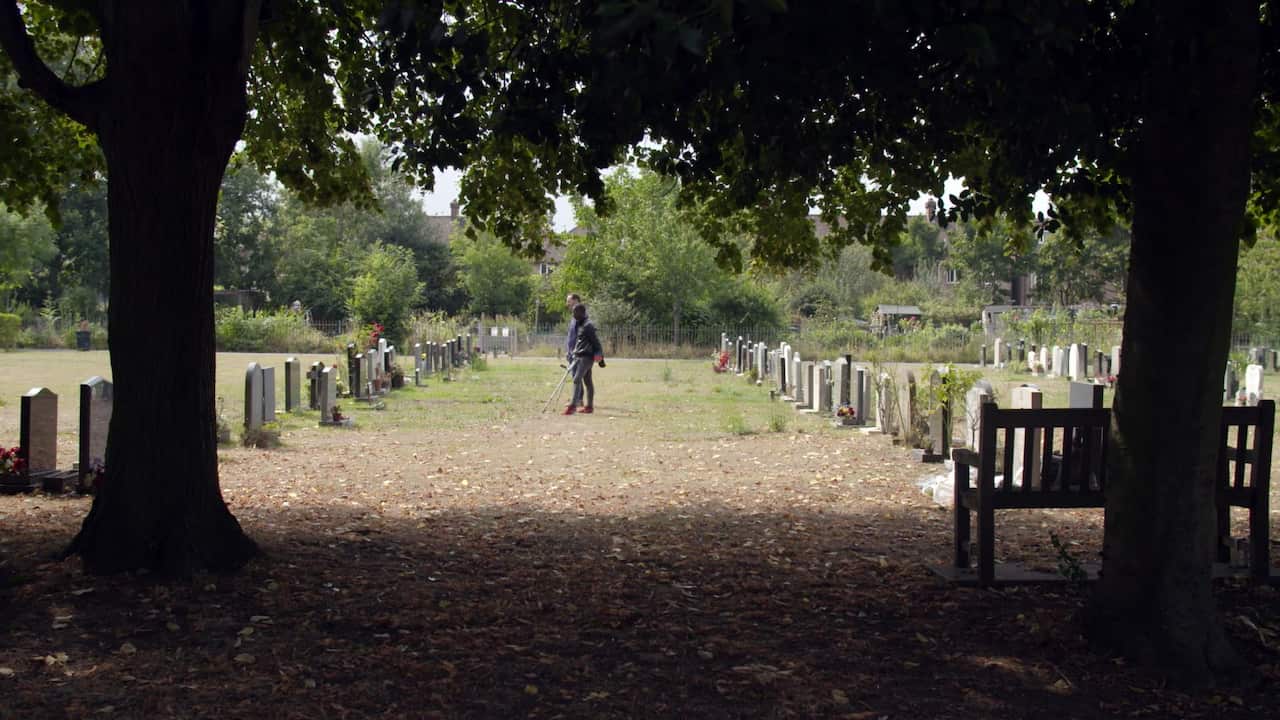 The Man Who Fell From The Sky