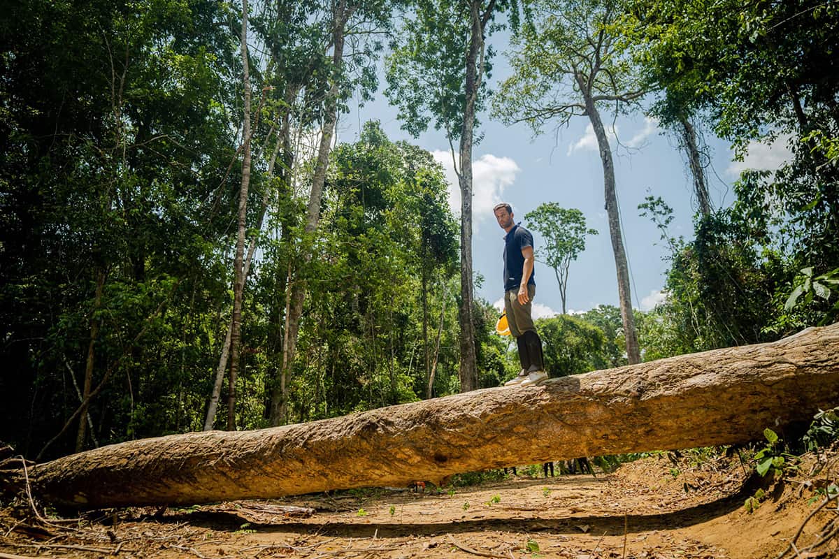 Pedro Andrade, Unknown Amazon