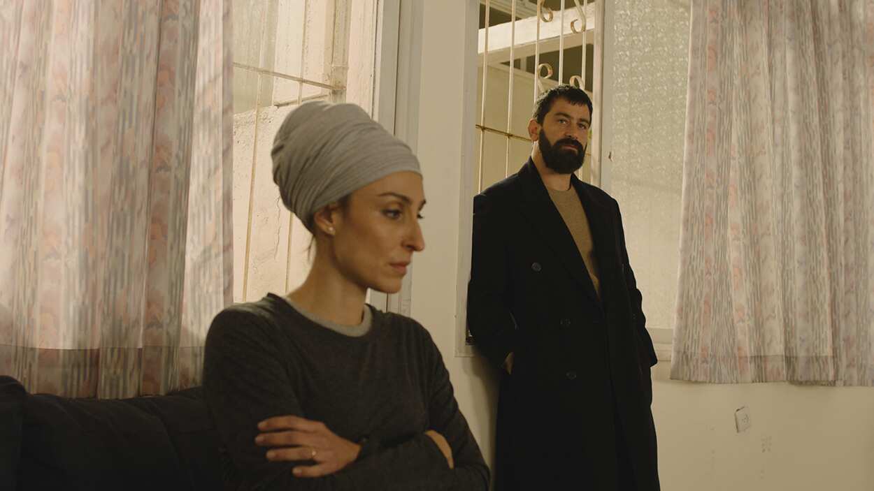 Unknowns, Shani Cohen, Yehuda Levi