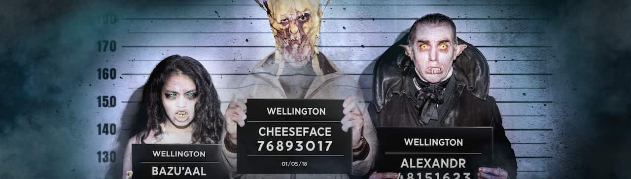 Wellington Paranormal