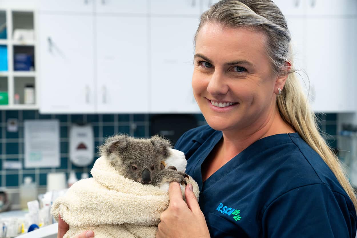 Wildlife ER, Dr Rebecca Millers
