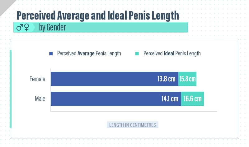 penis size survey
