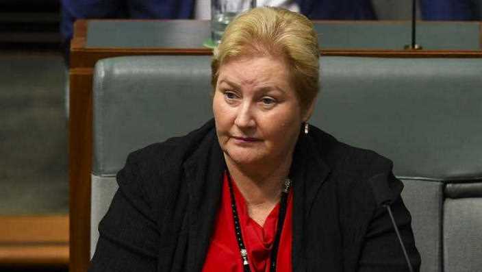 Liberal Member for Gilmore Ann Sudmalis won't contest the next election.