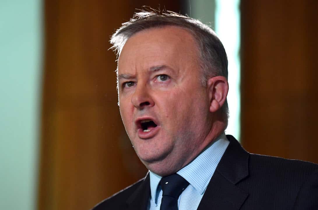 Labor leader Anthony Albanese