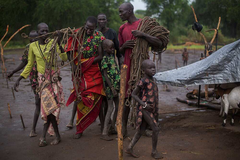 Tribesmen wait for their cattle to return to camp. Ropes are used to tie the animals to stakes overnight. (Matthew Abbott)