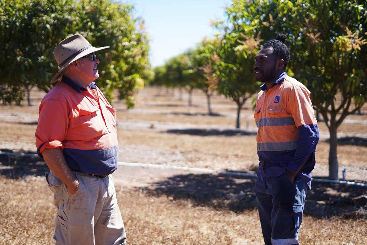 Mr Mariango (R) works for Mark Smith (L) at Darwin Fruit Farms.