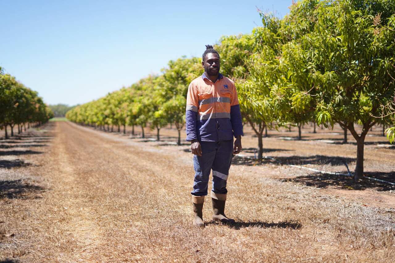 Mr Mariango says the program has provided a steady income for him and his family, while work in Vanuatu has dried up amid the pandemic.