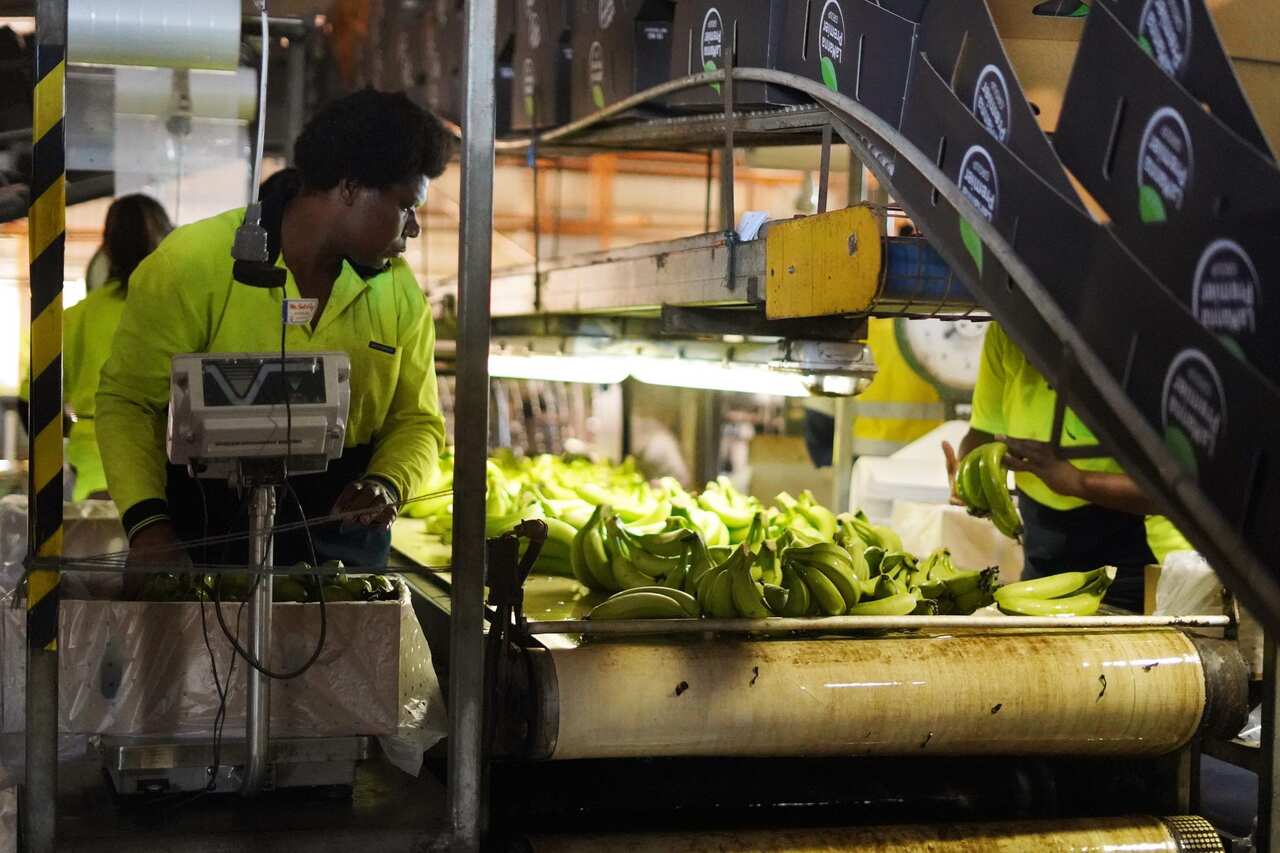 Mr Mariango is one of 16 pacific workers who remained on site, before the program was shut down in March due to COVID-19.