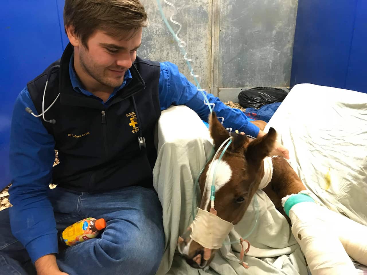 Mr Orda worked as an equine vet on the Gold Coast, before joining the crew of Gulf Livestock 1.