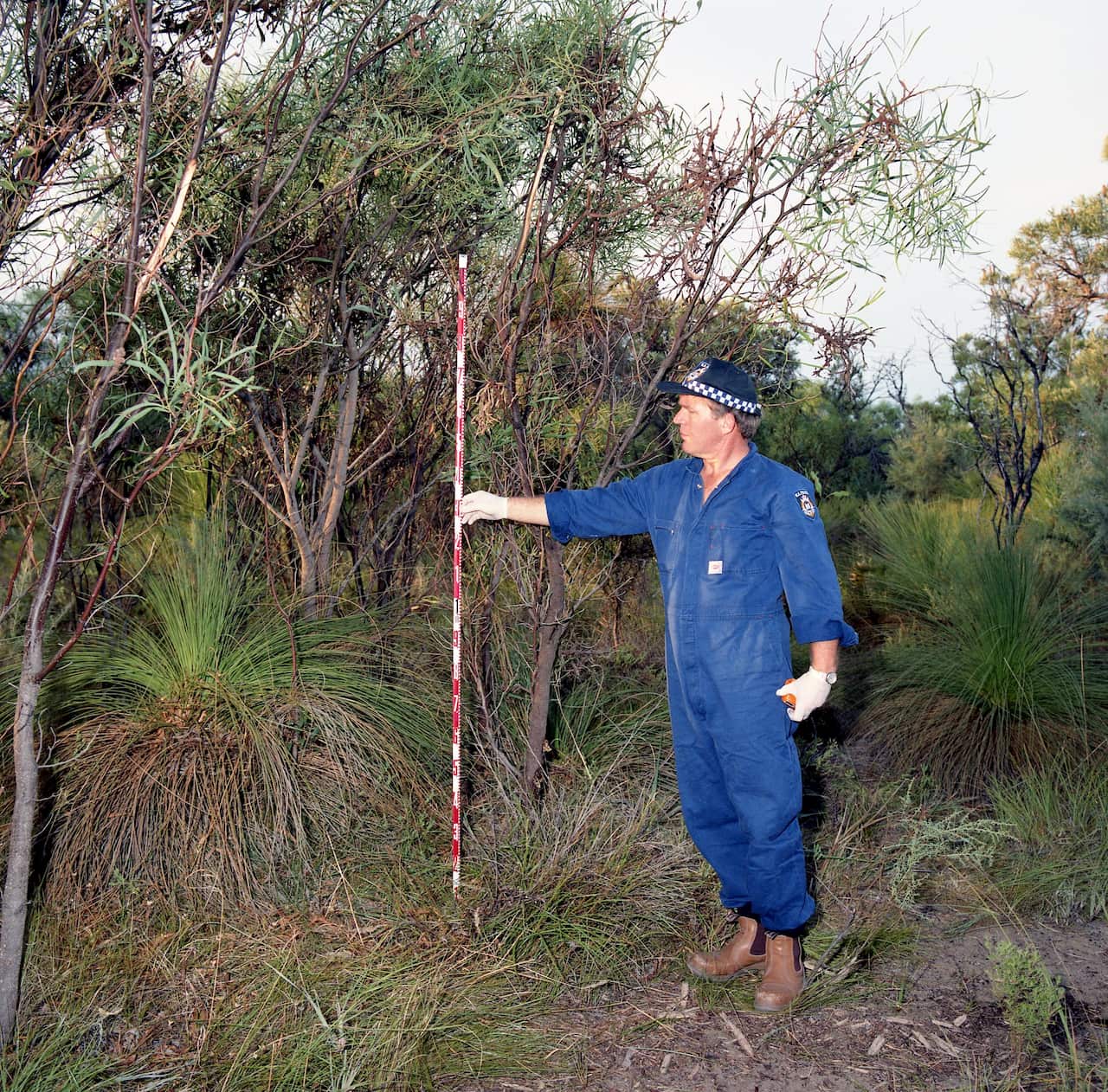 A forensic officer surveys the site where Ciara Glennon was found. 