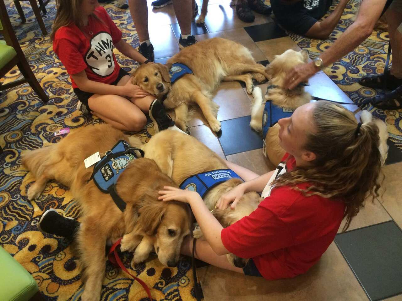 Lutheran Church Charities K-9 Comfort Dogs comforting survivors in Orlando, Florida.