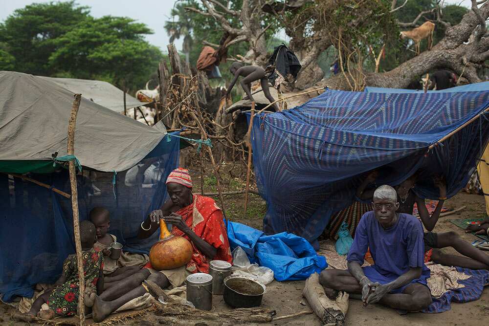 At dawn, the tribe prepares to take the cattle out of the camp for grazing. (Matthew Abbott)