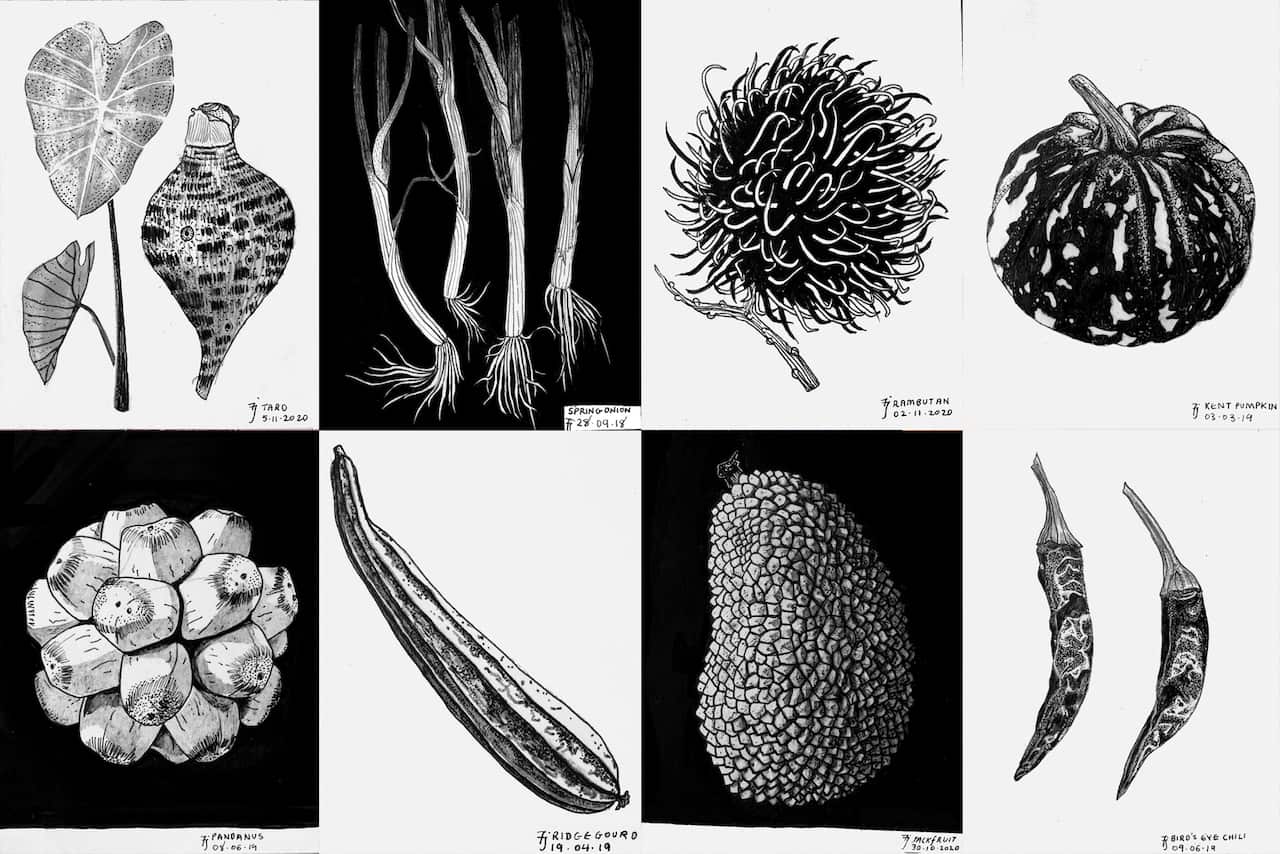 Ms Tejaya has done close to 72 drawings, each with its own story.