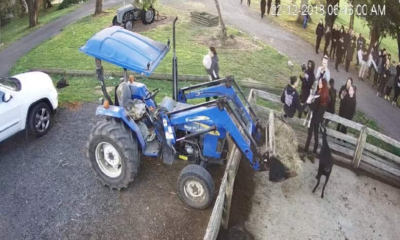 Anti-cruelty activists took goats from a Gippsland property.