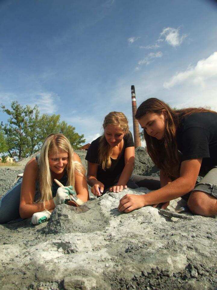 Students at the excavation site at Lisowice, Silesia, Poland.
