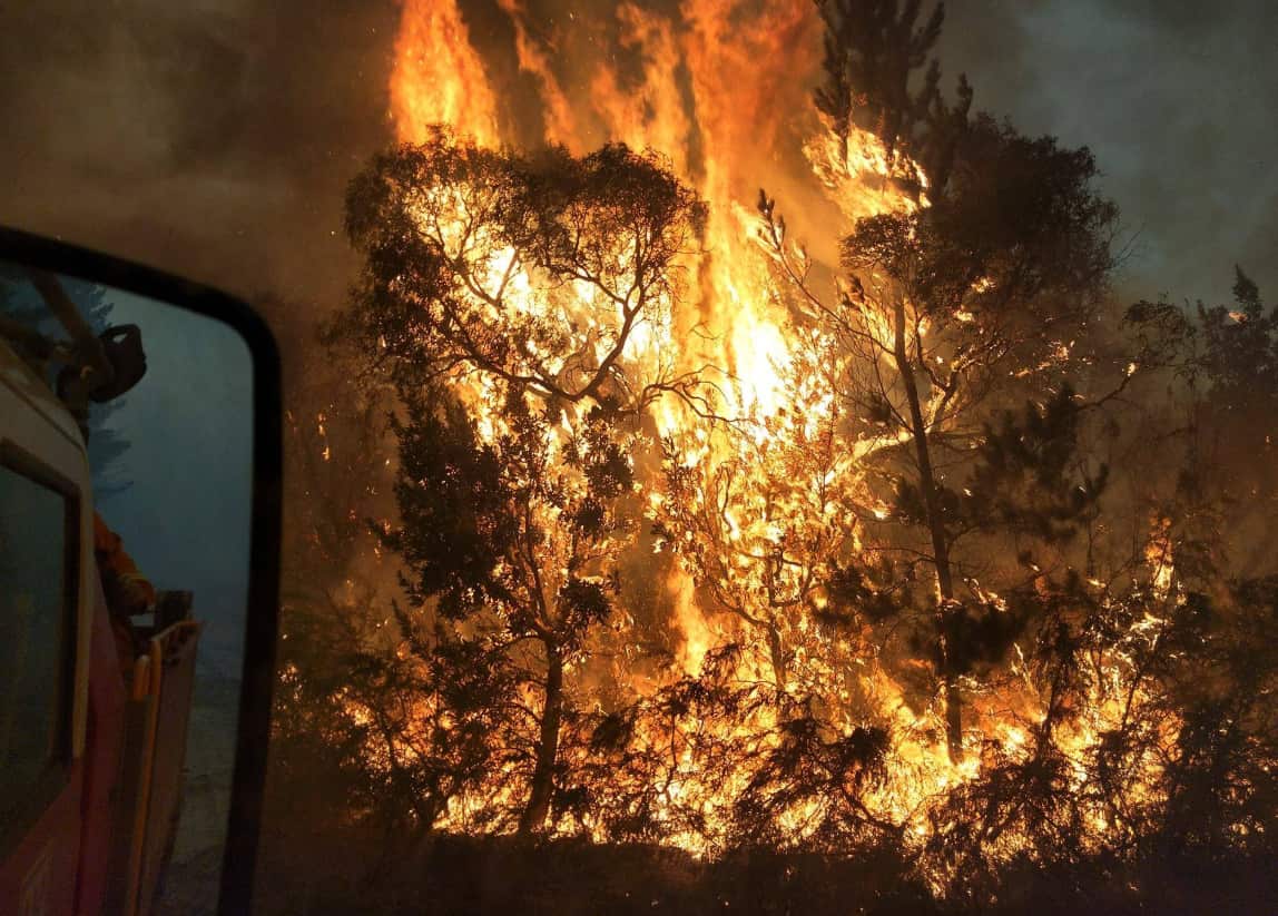 The Rosedale fire last week.