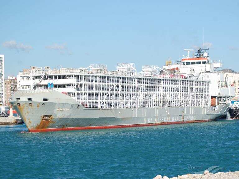 The Gulf Livestock 1 ship.