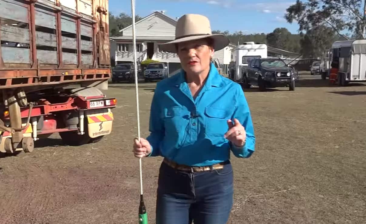 A still from the video.