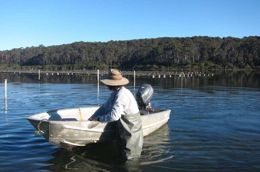 An oyster farm in NSW.