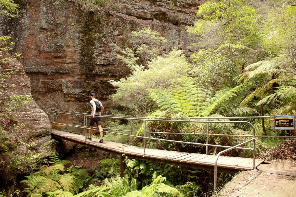 The Wollemi National Park.