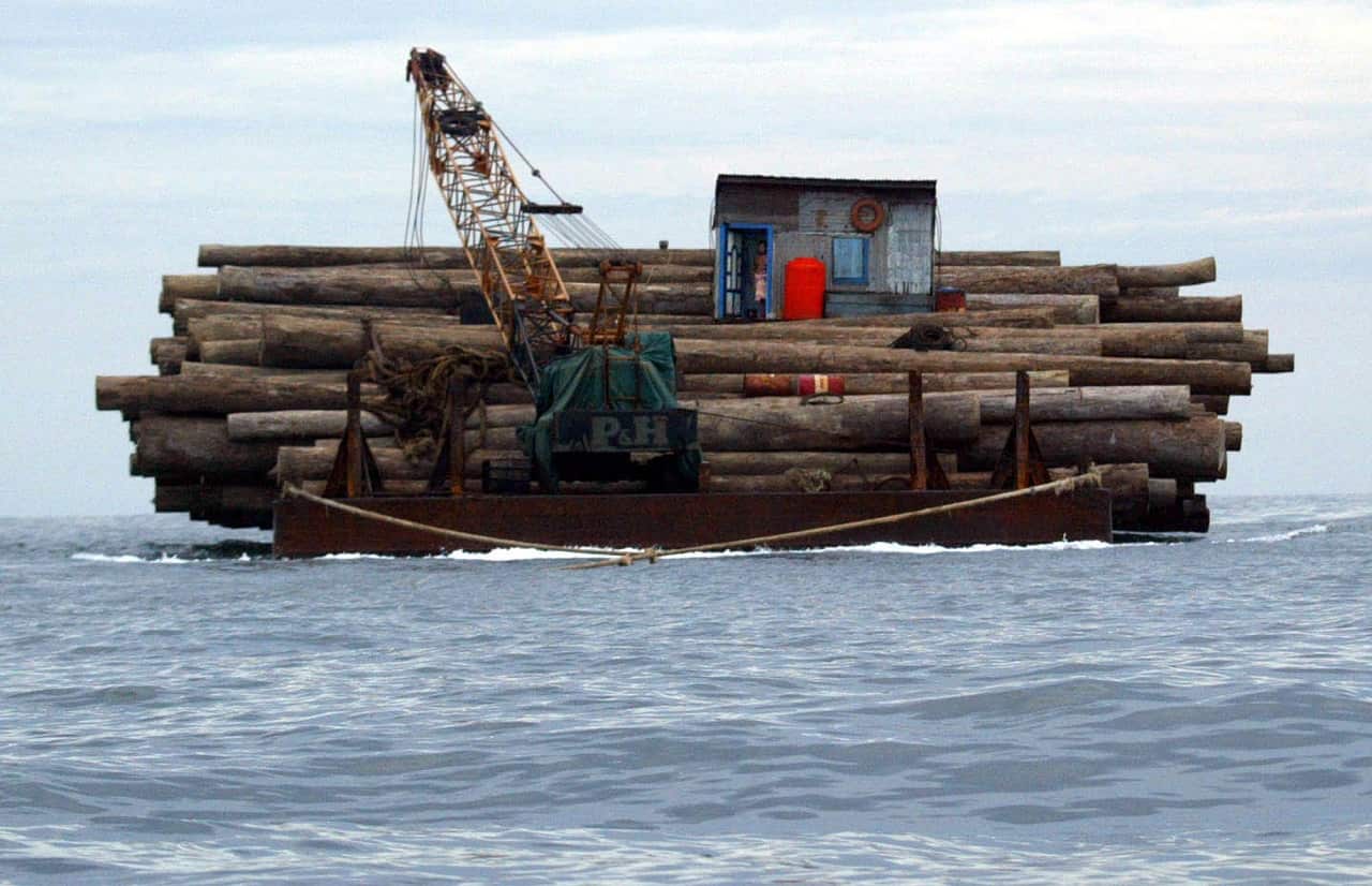 A barge with a large cargo of raw timber makes its way across the Java Sea.