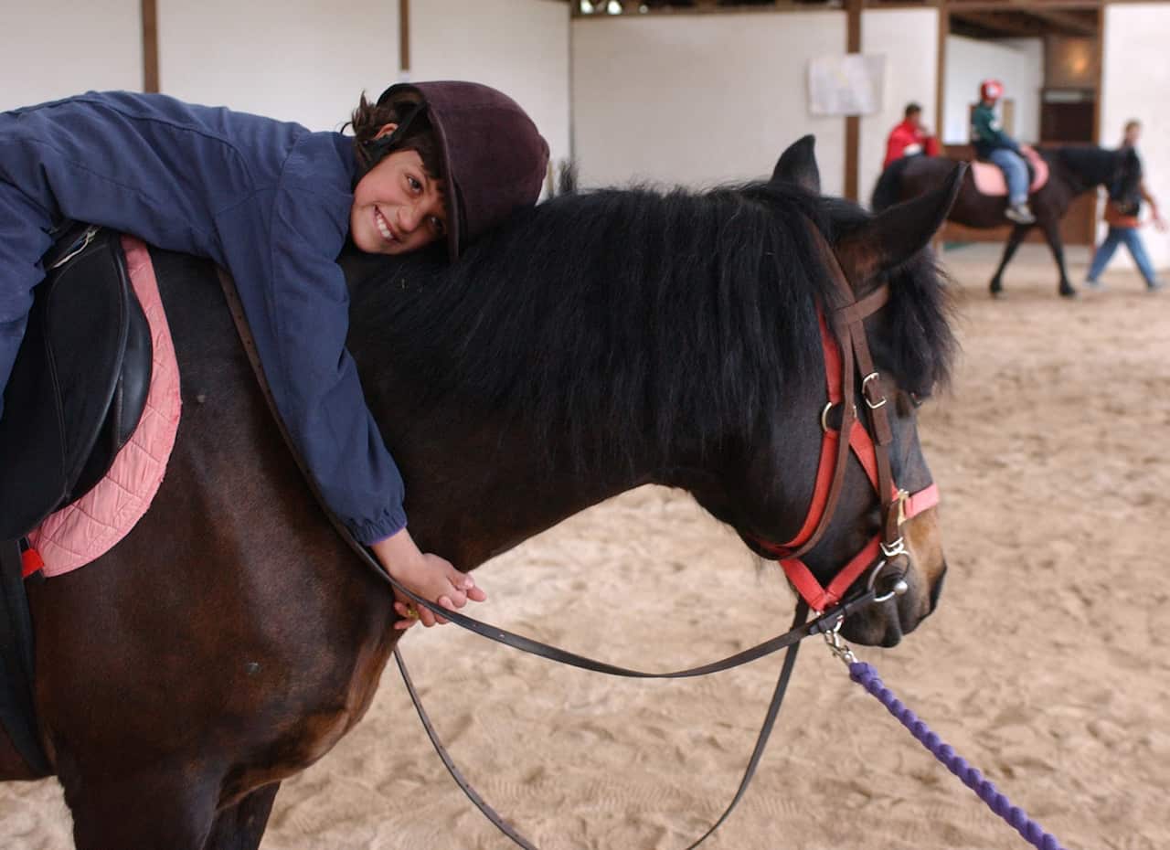 animal assisted therapy