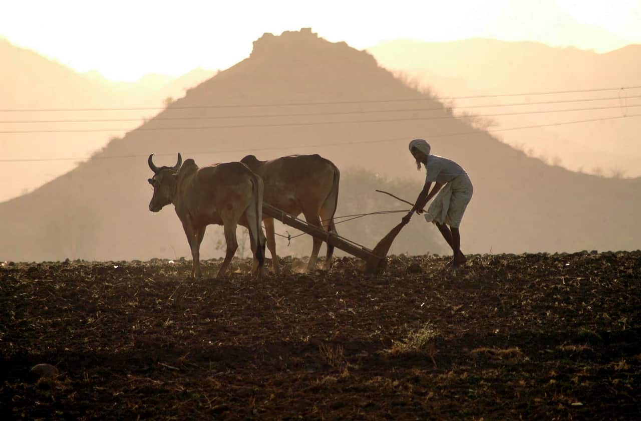 A farmer in Badwani district of Madhya Pradesh, an are to be submerged during monsoon if the height of the dam, is raised from 110 meters to 121 meters.