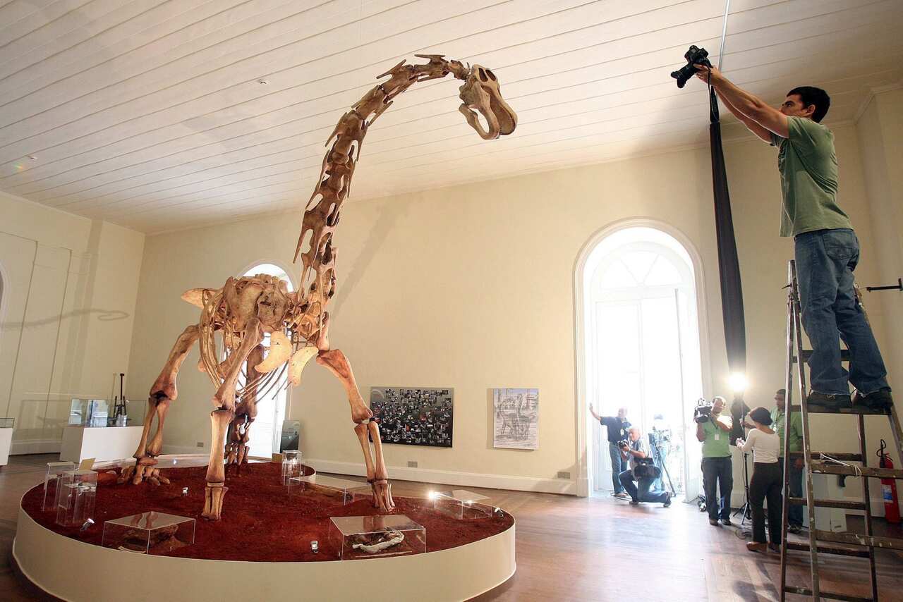 FILE: A Maxakalisaurus Topai dinosaur reconstruction on display at the National Museum of Rio de Janeiro in 2006. 