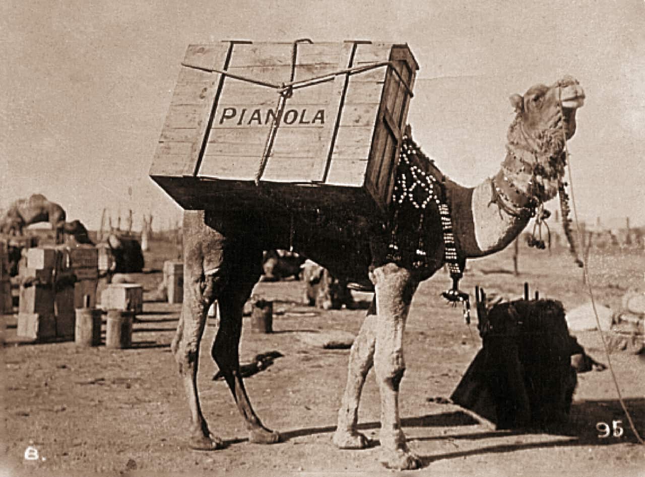 An undated handout photo of a Camel with a pianola destined for an outback station. (AAP/Broken Hill City Library)