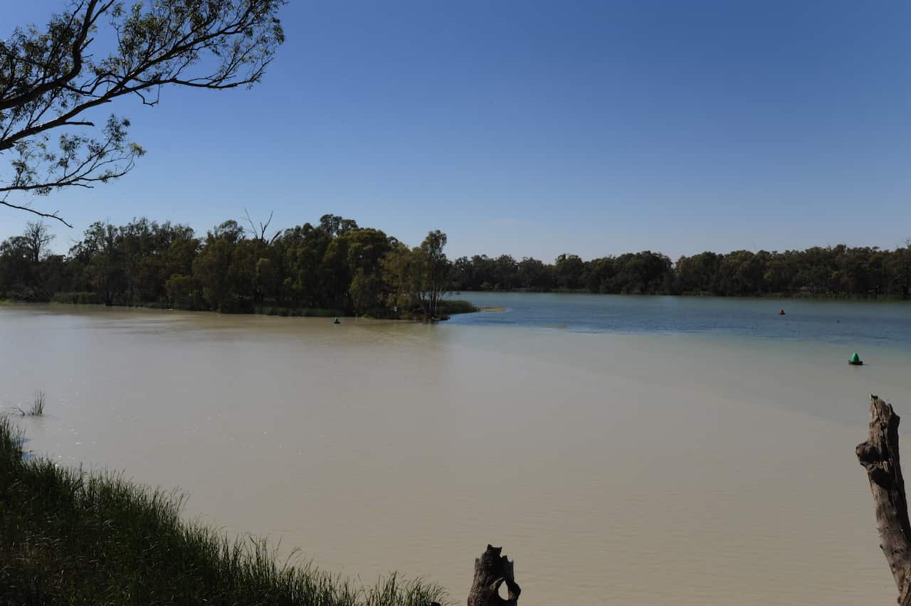 Where the Darling River meets the Murray River at the town of Wentworth , Sunday, Dec. 7, 2008.
