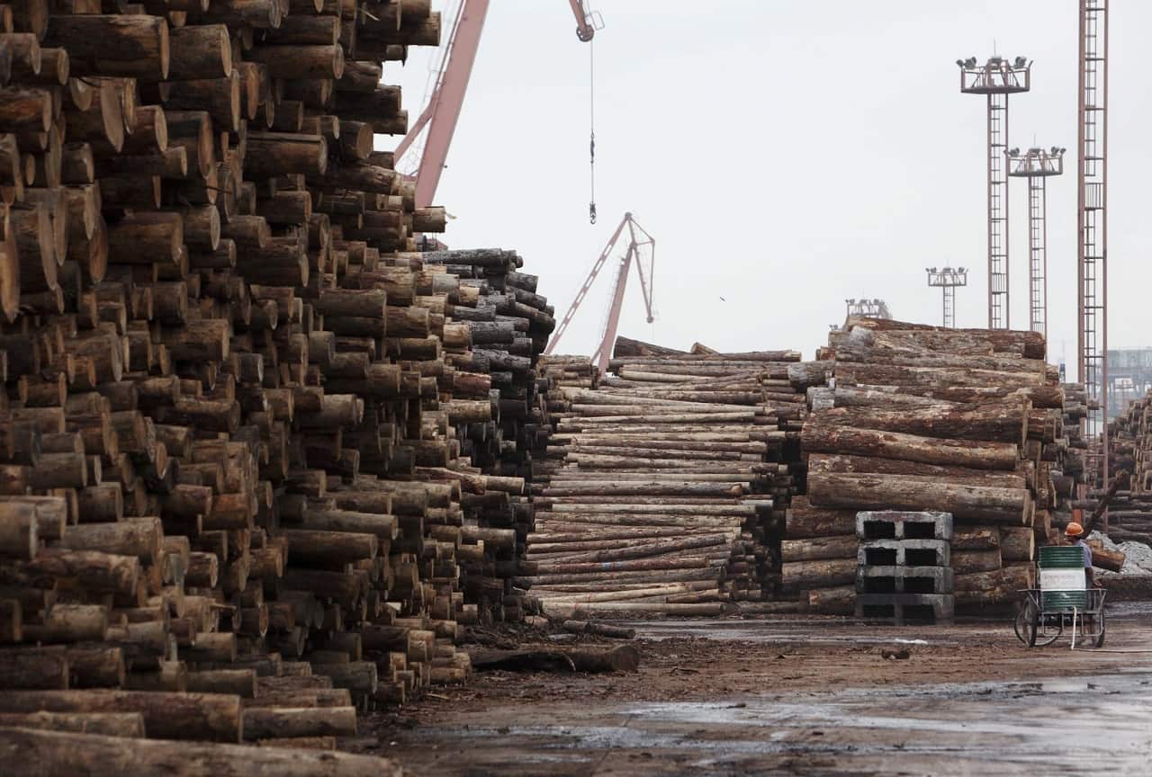 Workers walk past rolls of imported timber at a dock in Shanghai, China.