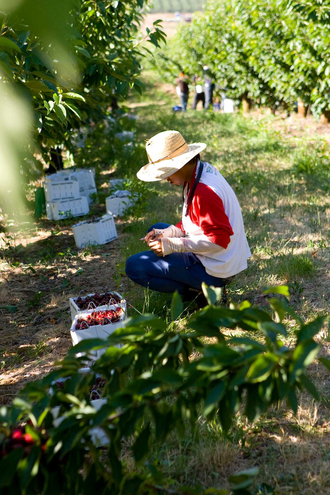 Temporary visa holders face significant financial hardship during the coronavirus crisis. 