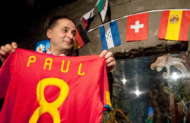 Paul the octopus was declared an honorary citizen of a Spanish town after predicting Spain would win the 2010 FIFA World Cup.