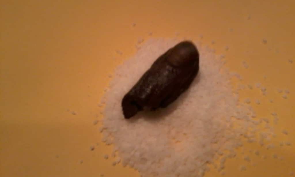 More than 65,000 have taken the the 'Sourtoe Challenge' at the Downtown Hotel in Yukon, Canada.