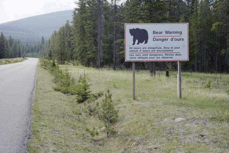 A bear warning sign in a Canadian National Park.