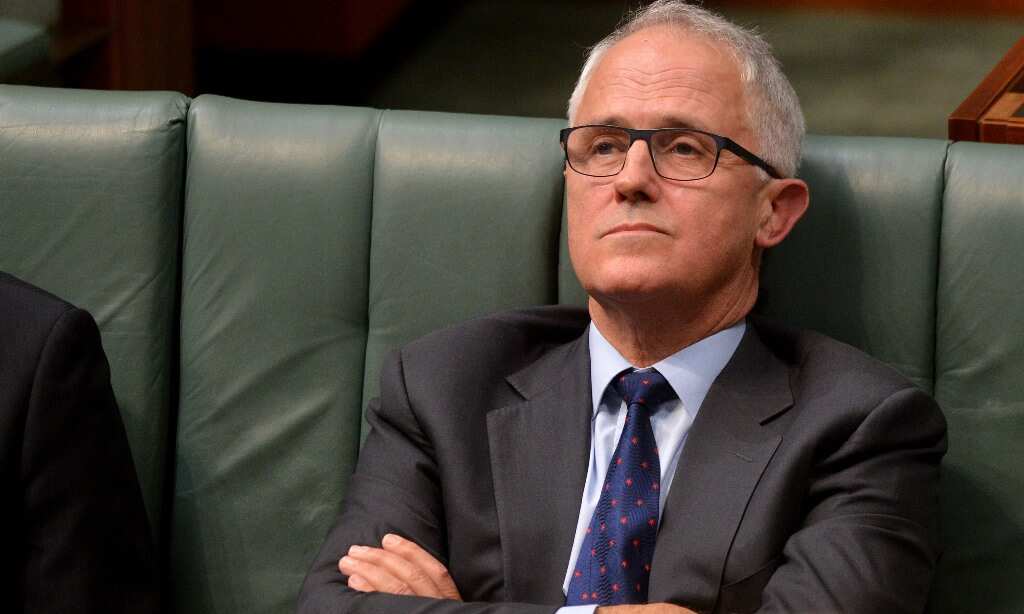 Minister for Communications Malcolm Turnbull during question time in the House of Representatives, Parliament House, Canberra Tuesday, 3 June, 2014. (AAP)