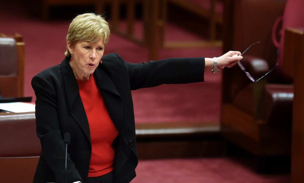 Australian Greens Senator Christine Milne speaks during the carbon tax repeal debate in the Senate chamber at Parliament House in Canberra, Wednesday, July 16, 2014. (AAP)