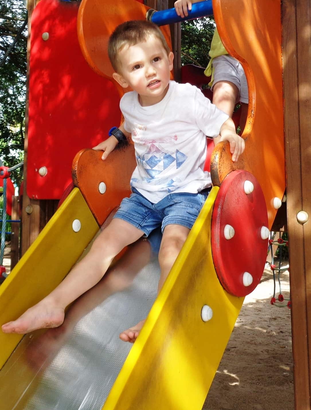 Hearings for the William Tyrrell inquest will start next week. 