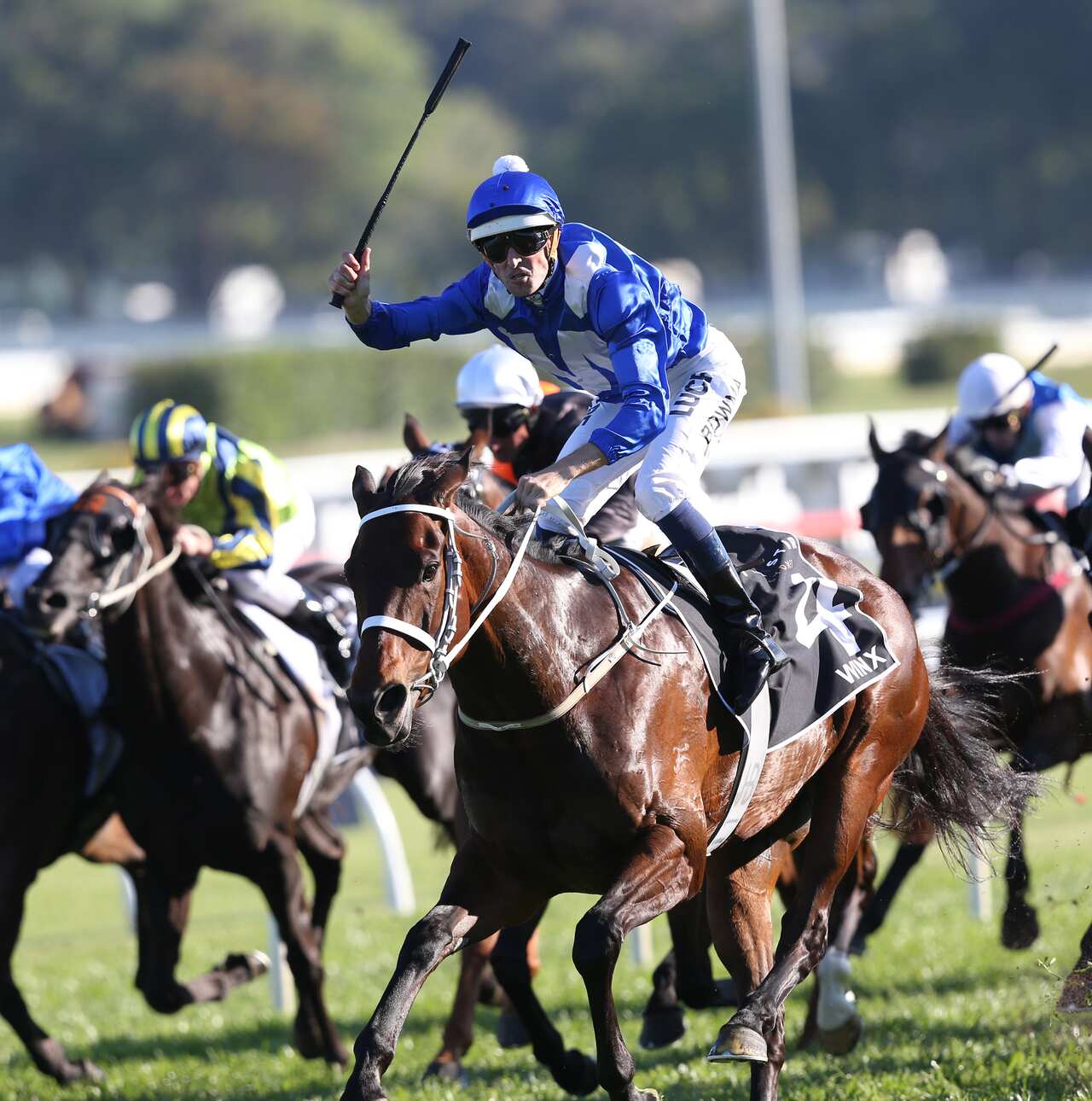 Jockey Hugh Bowman riding Winx, raise his whip to the crowd as they win The Star 150th Epsom at Randwick racecourse in Sydney. Saturday, October 3, 2015. (AAP Image/David Moir) NO ARCHIVING, EDITORIAL USE ONLY