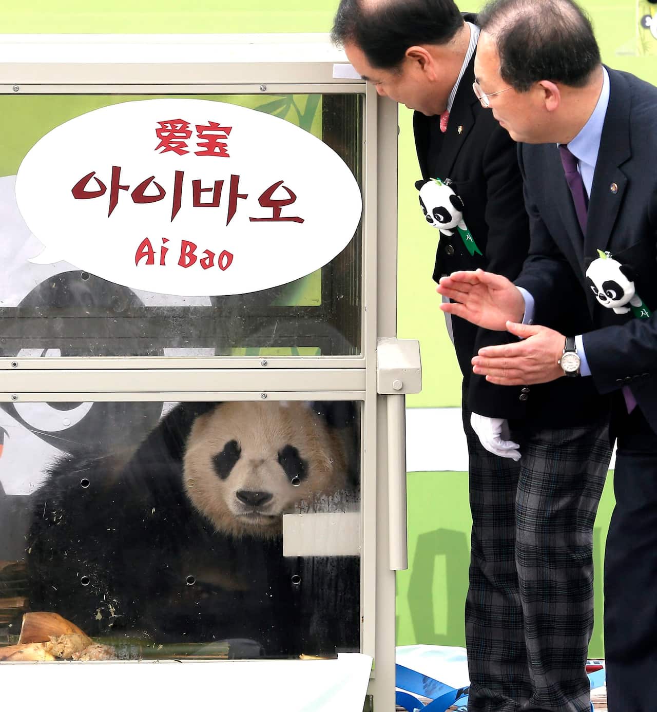 Ai Bao, a Chinese panda, arrives at Incheon International Airport, west of Seoul, South Koprea, 3 March 2016. (AAP)