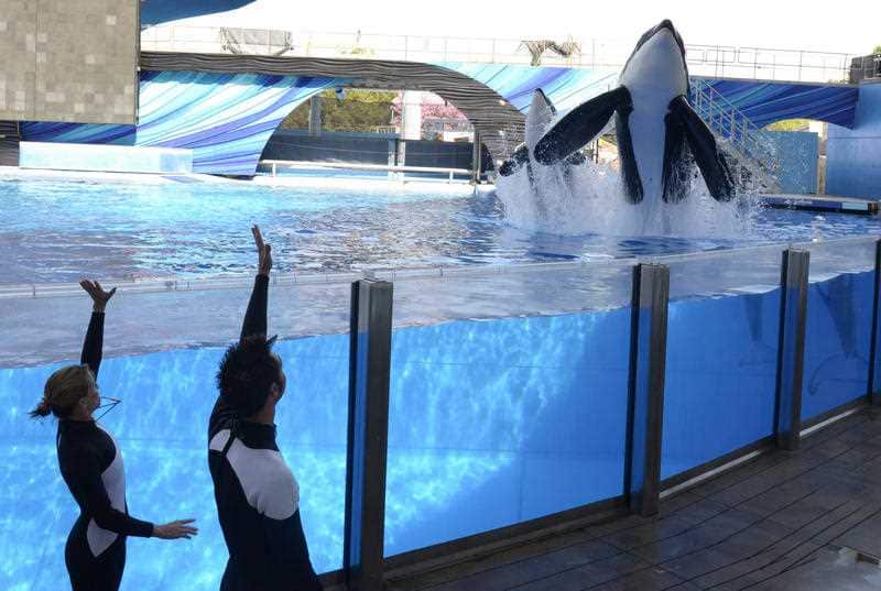 In a March 7, 2011, file photo, of SeaWorld Orlando.