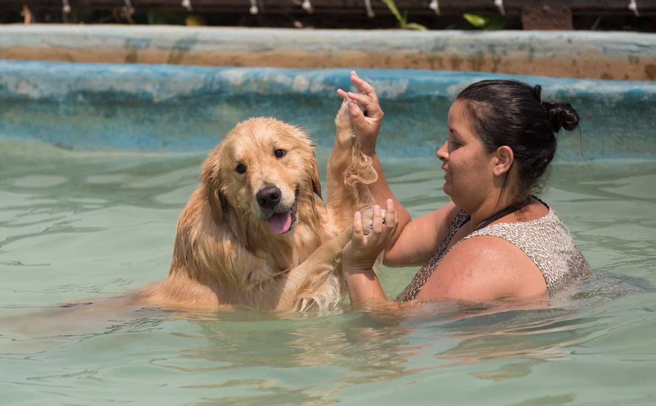 Dog "Shimbalaie" and its owner compete in the synchronized swimming competition during the Dog Olympic Games.