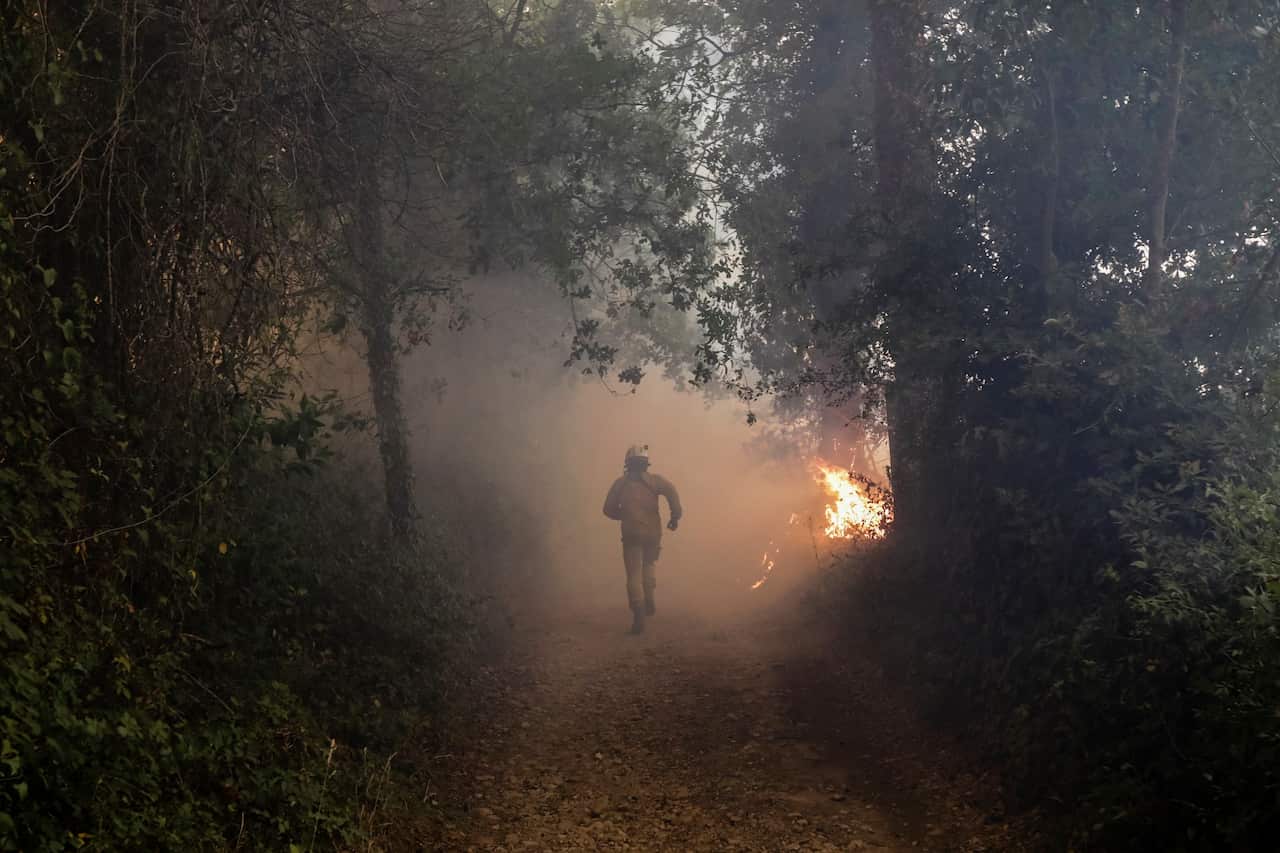 A fireman works at the scene of a forest fire near the village of Cioga do Campo, Portugal .