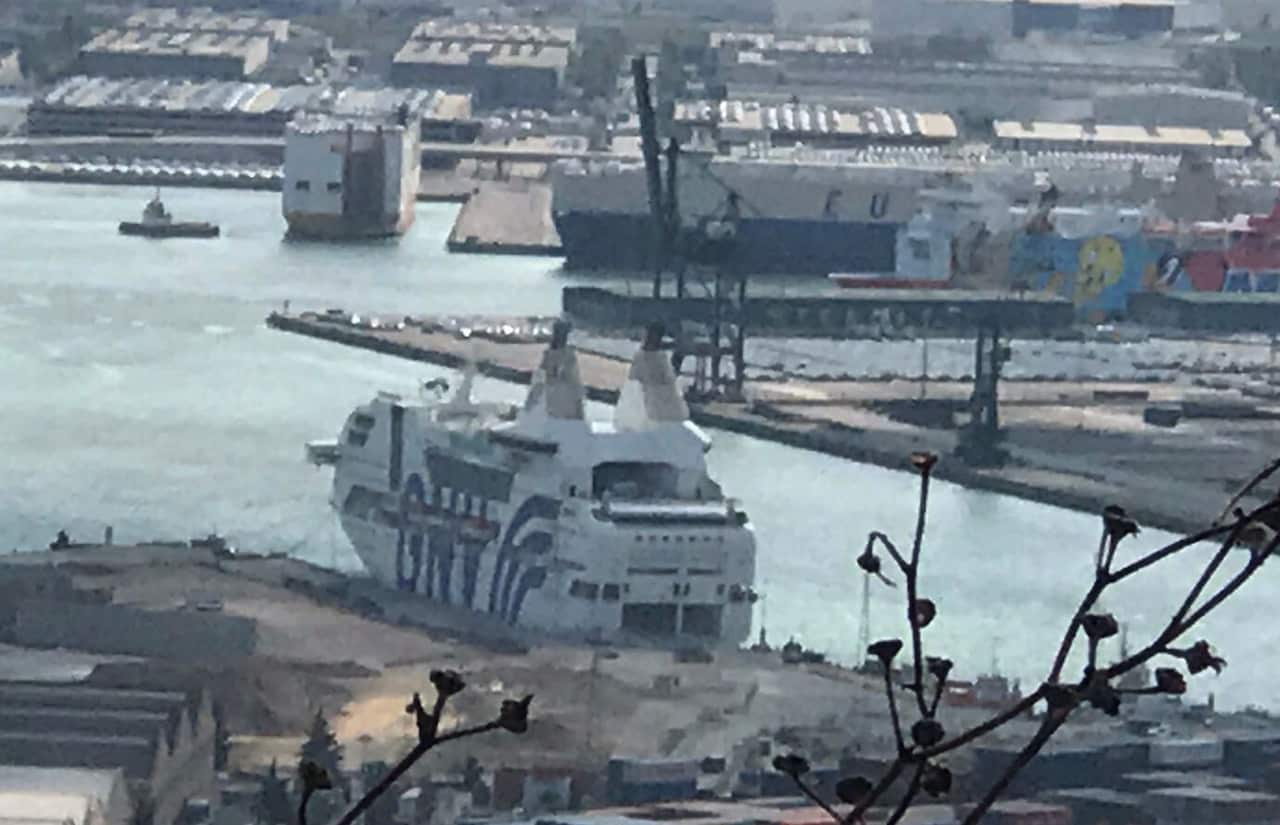 Tweety Catalonia Catalan