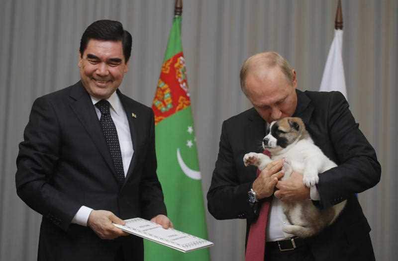 Russian President Vladimir Putin holds a puppy presented by Turkmenistan's President Gurbanguly Berdymukhamedov during their meeting in the Bocharov Ruchei residence in the Black Sea resort of Sochi.