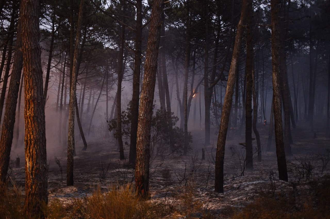 49 people died in the fire as Ophelia winds were hitting the North West of the Iberian Peninsule. 